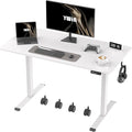 Ywin Electric Height Adjustable Standing Desk, 55 x 24 inches Sit Stand Desk by Unknown