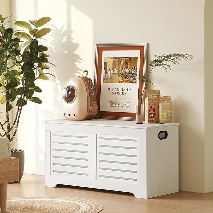 DINZI LVJ Storage Chest, Flip-Top Wooden Toy Box - Image 5