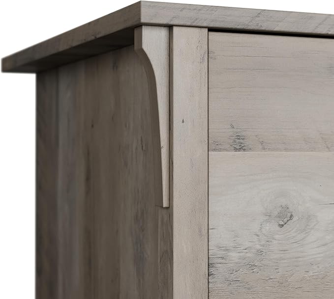 Bush Furniture Salinas Accent Storage Cabinet - Image 7