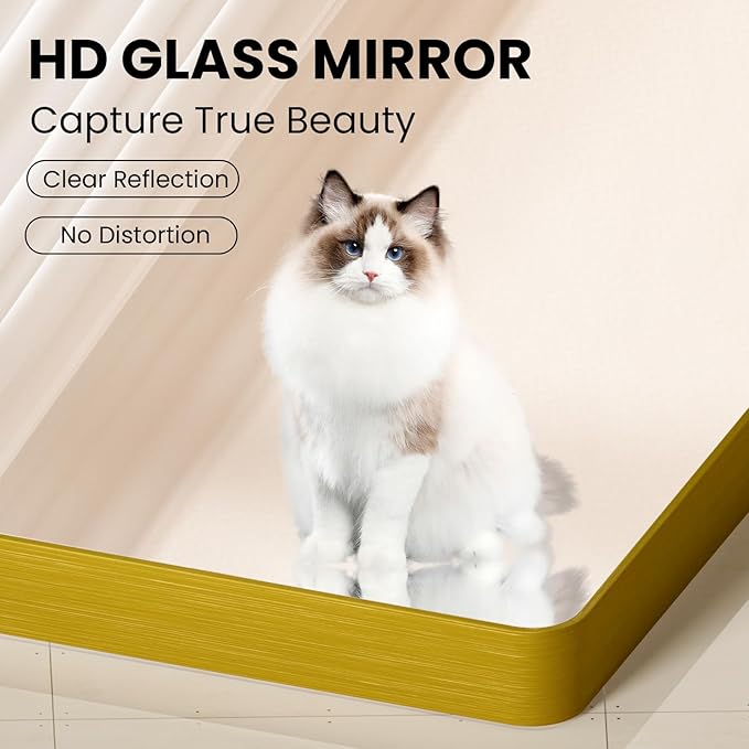Gold Bathroom Mirror, 20x30 Inch Brushed Gold Metal Frame Mirror - Image 3