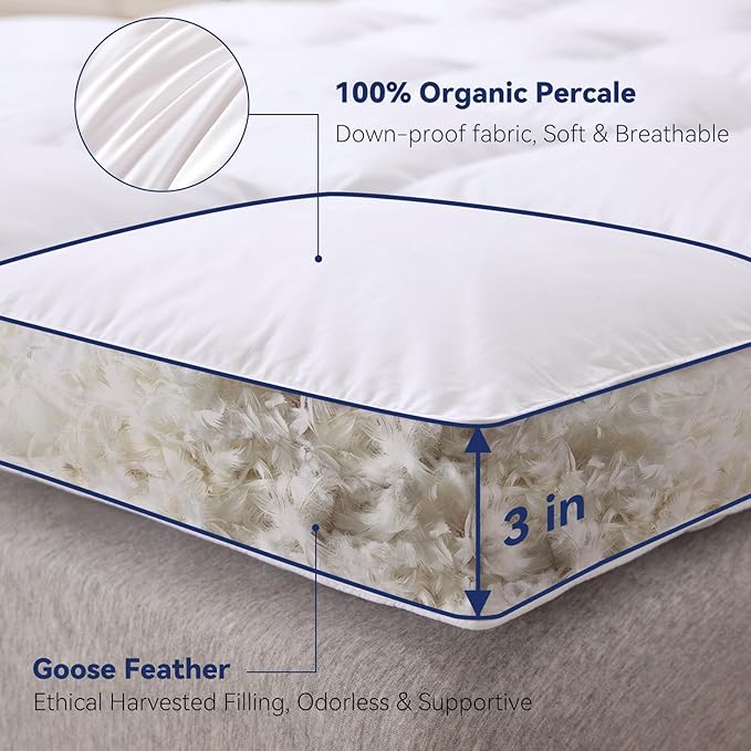 3 Inch White Goose Feather Mattress Topper, Queen Feather Bed Topper, Mattress - Image 3