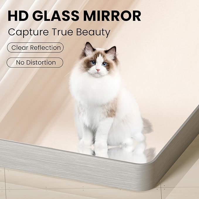 Brushed Nickel Bathroom Mirror 20x30 Inch, Brushed Silver Metal Frame Mirror - Image 4
