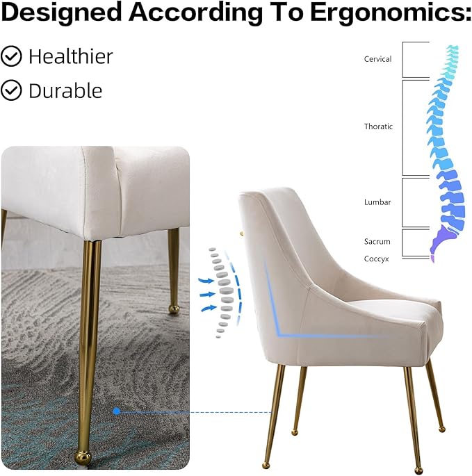 Velvet Dining Chairs, Furniture Collection Modern Contemporary Upholstered - Image 5