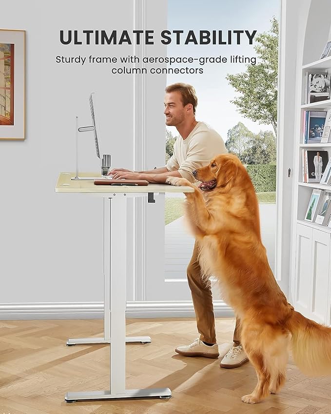 ErGear Height Adjustable Electric Standing Desk, 48 x 24 Inches Sit Stand up - Image 4