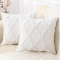 decorUhome Throw Pillow Covers 24x24 Inch Set of 2, Soft Plush Faux Fur Wool by decorUhome