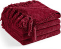 Chenille Throw Blanket for Couch 60"X 80" Twin, Soft Cozy Throws by LONGCREATE