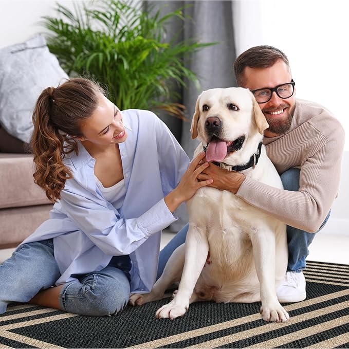 Lahome Modern Geometric Easy Jute Outdoor Rug, 5x7 Patio Living Room Rug Large - Image 6