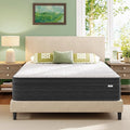 12 Inch Queen Size Mattress in a Box by Unknown