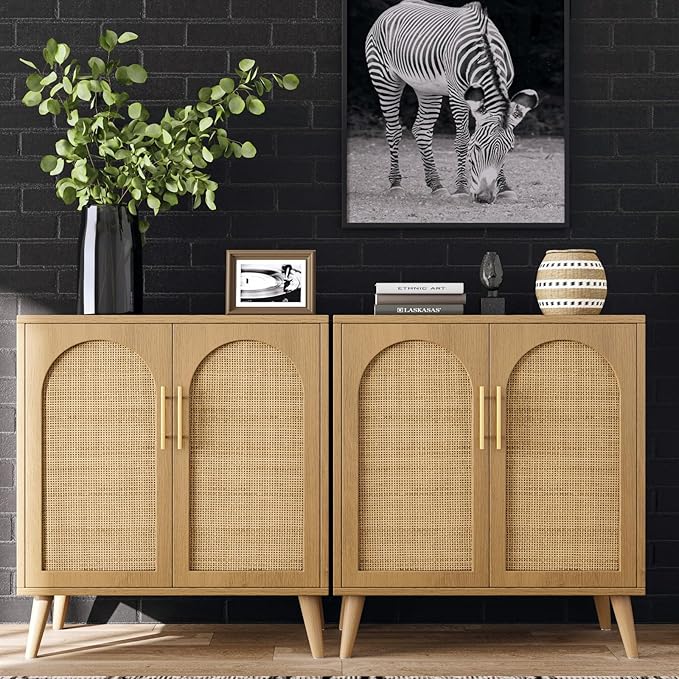 Rovaurx Set of 2 Rattan Storage Cabinet by Rovaurx
