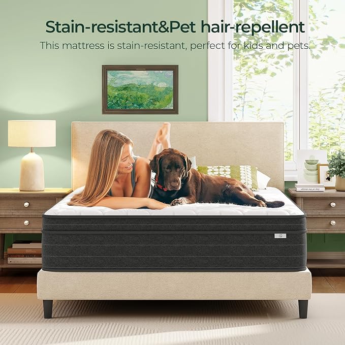 Twin Mattress 10 Inch in a Box - Image 10