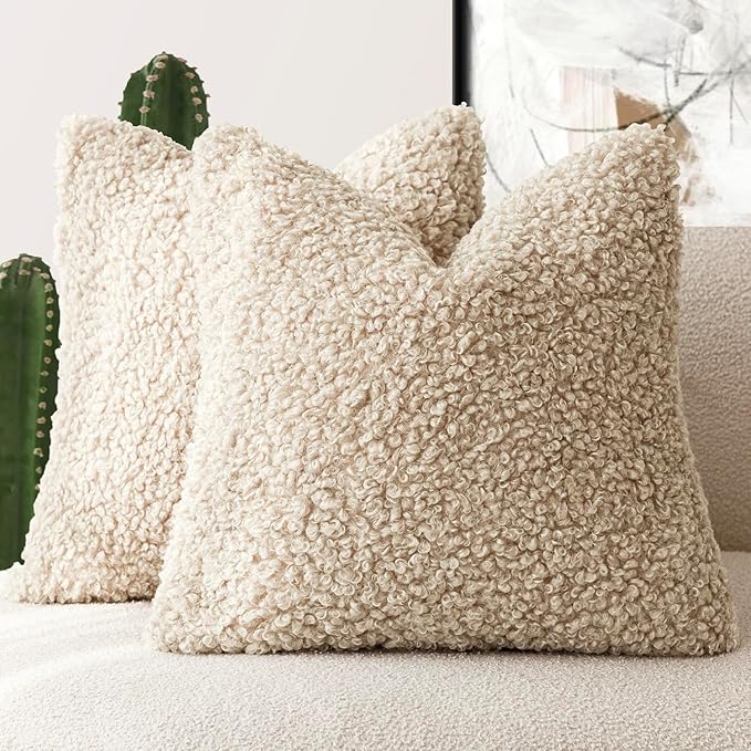 Foindtower 2 Pieces Faux Fur Throw Pillow Cover Decorative Sherpa Pillow Fuzzy by Foindtower
