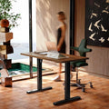 HUANUO 55 x 28 inch Electric Standing Desk Adjustable Height, 4 Memory Height by HUANUO