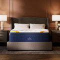 Premier Rest 14" Twin Mattress by DreamCloud