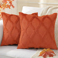 decorUhome Fall Throw Pillow Covers 20x20 Inch Set of 2, Soft Plush Faux Fur by decorUhome