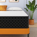 Queen Mattress, 12 Inch Queen Size Mattress Bed in a Box, Memory Foam & Pocket by Swbvs