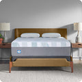 Sealy Dreamlife 14” Foam Mattress-in-a-Box, Twin XL, SealyComfort Gel Memory by Sealy