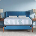 Sealy Dreamlife 10” Foam Mattress-in-a-Box, SealyComfort Gel Memory Foam by Sealy