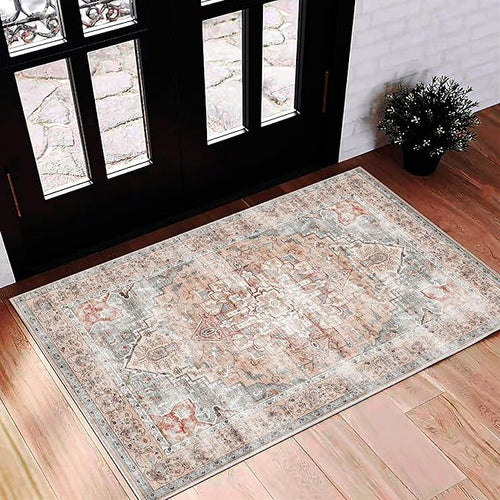 2'x3' Light Cyan and Light red Area Rug Washable Door Mat Vintage Distressed by CHAMPLANT