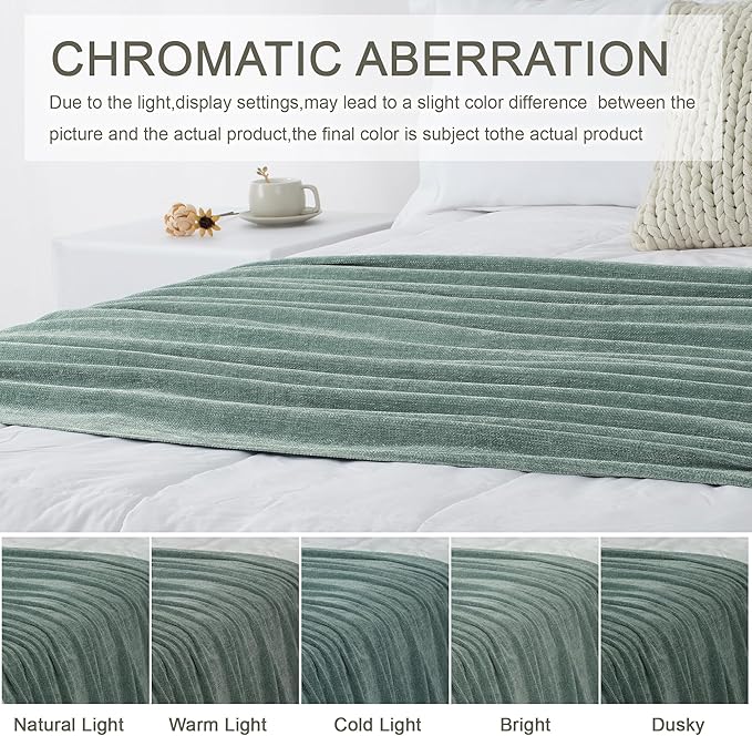 Chenille Throw Blanket for Couch 60"X 80" Twin, Soft Cozy Throws - Image 2
