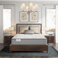 Kingsdown Passions Imagination Plush Mattress by Kingsdown