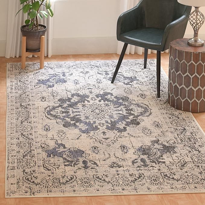 SAFAVIEH Monaco Collection Accent Rug by SAFAVIEH